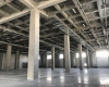 瑞莱博·i选址-净高11.0米 太仓市 单层高标库-房屋内部照片