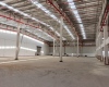 瑞莱博·i选址-双面卸货 新建区 单层高标库-房屋内部照片